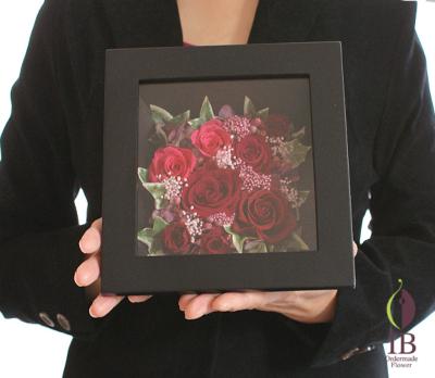 手に持った感じの大きさの比較