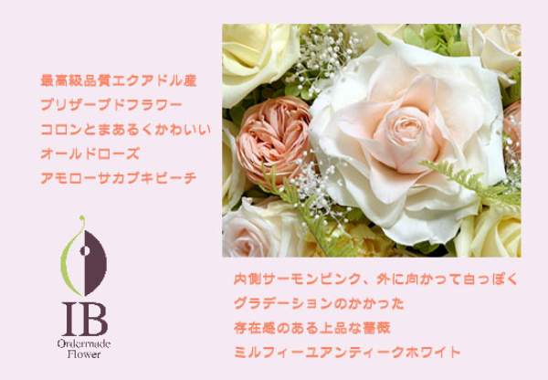 ミルフィーユアンティークホワイト