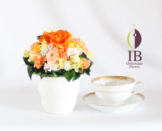 ティーカップとの大きさの比較