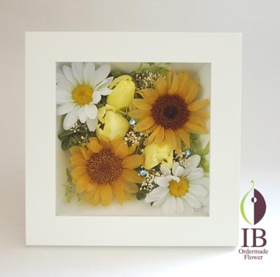 正面から（ガラスなし）