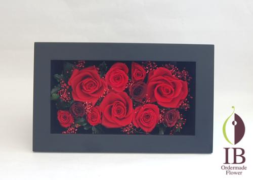 横向きに置いた感じ（ガラスなし）