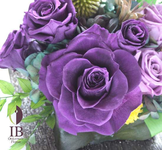 プリザードフラワーバラ バイオレット
