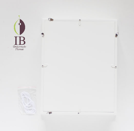 フレーム　後ろ側