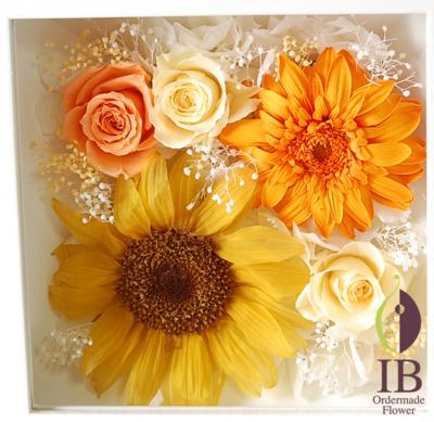 お花のアップ（ガラスなし）