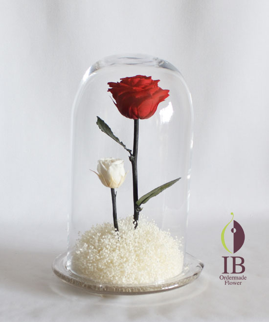 プリザードフラワー バラ チェリーレッド