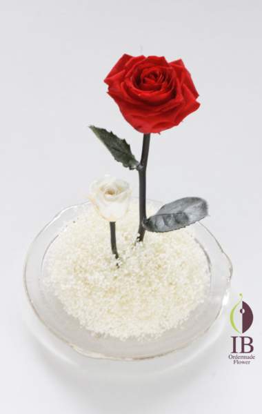 ガラスドームのお花 プリザーブドバラ チェリーレッド