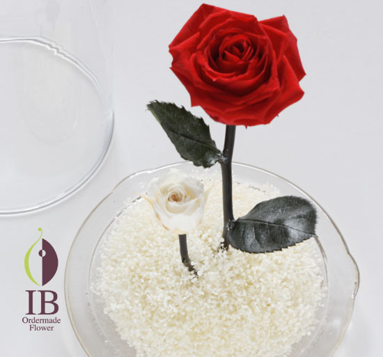 ガラスドームのお花 赤いバラ