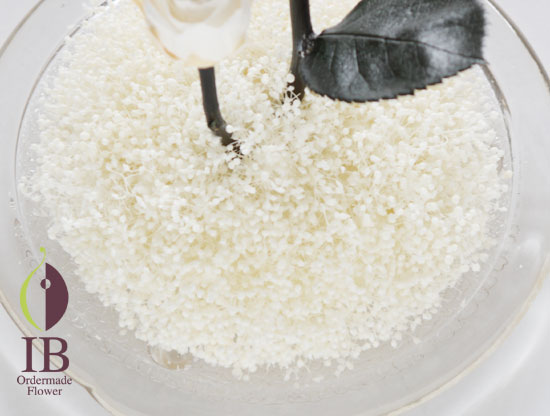 プリザーブド カスミソウ白