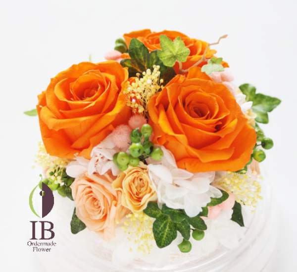 プリザーブド　バラ　タンジェリンオレンジ