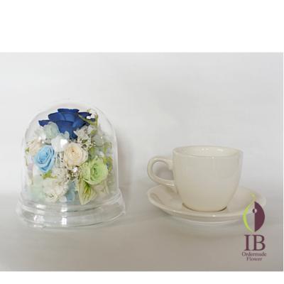 コーヒーカップとの大きさの比較