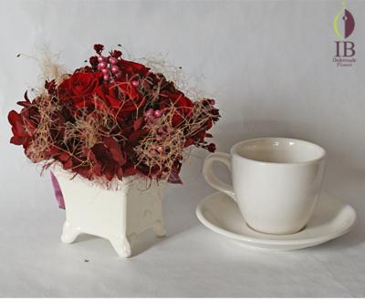 コーヒーカップとの大きさの比較