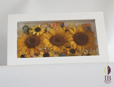 プリザードフラワー ひまわりフレーム