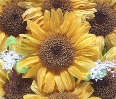 プリザーブドフラワー ひまわり