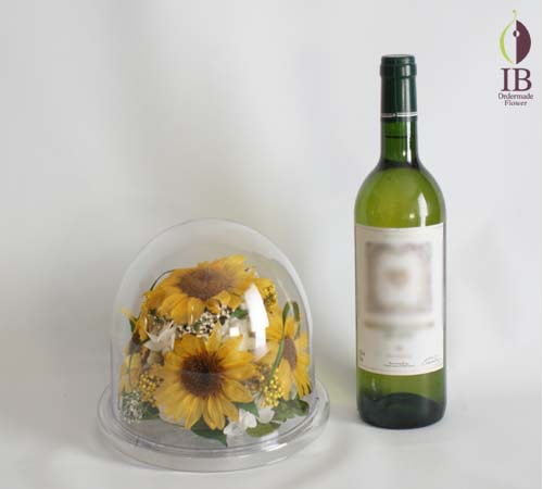 フルワインボトルとの大きさの比較