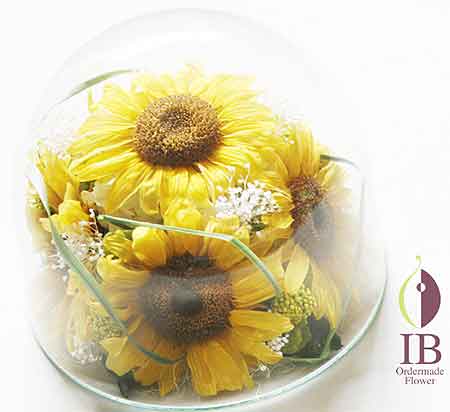 プリザードフラワー　向日葵