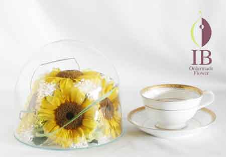 ティーカップとの大きさの比較