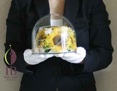 手に持った感じの大きさの比較