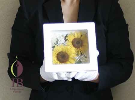 手に持った感じ