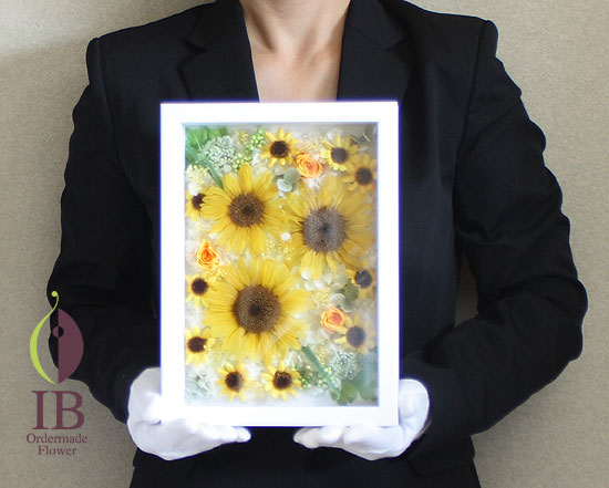 手に持った感じ