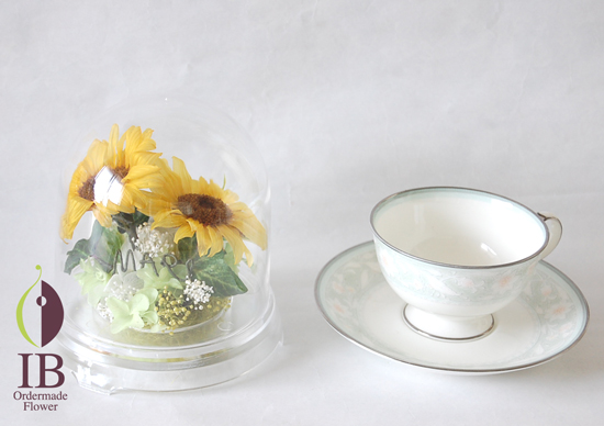 ティーカップとの大きさの比較