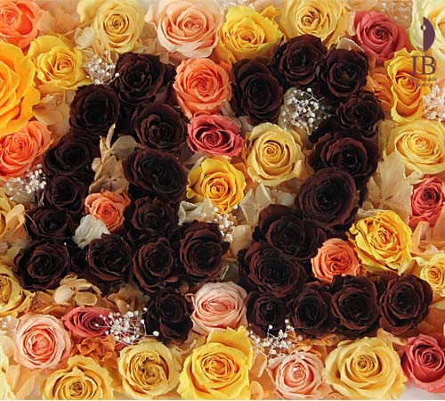 花文字入り御祝用プリザーブド プリザードフラワーバラ