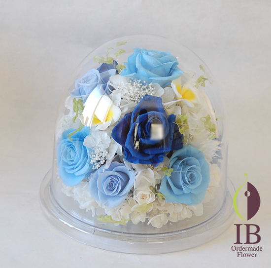 正面から(ドームつき)