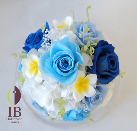 真上から(ドームなし)