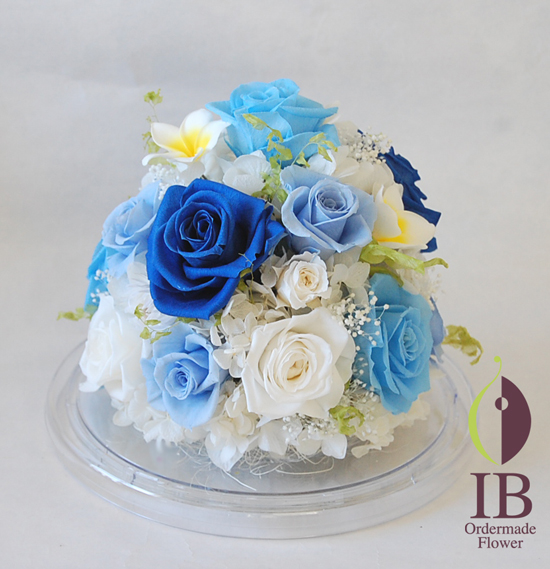 正面から(ドームなし)