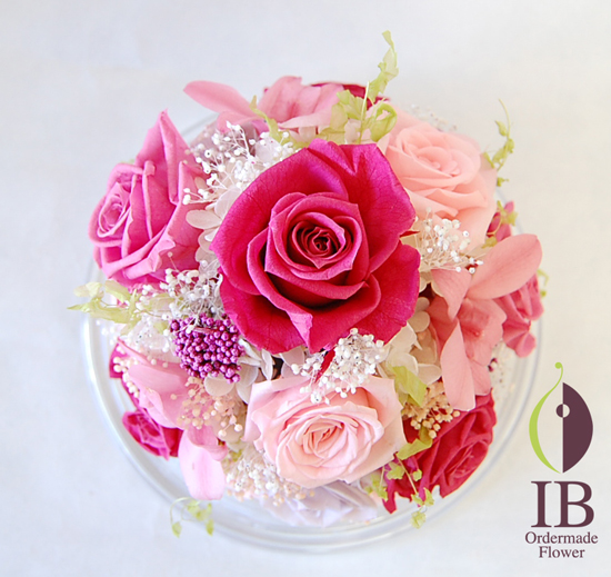 真上から(ドームなし)