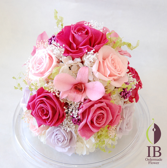 斜め上から(ドームなし)