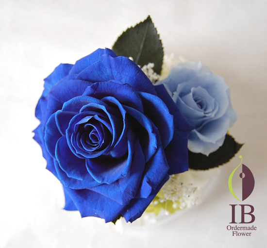 真上から(ドームなし)