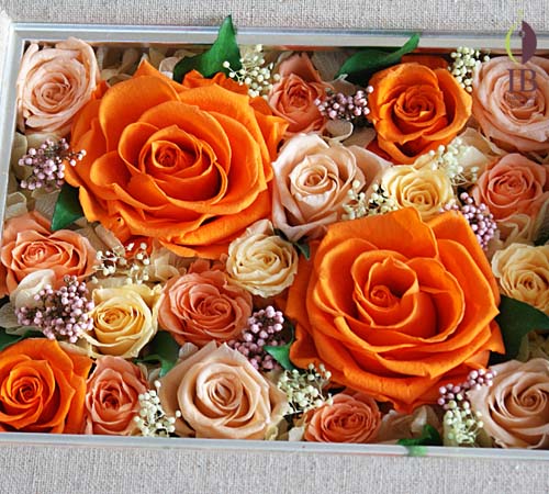 オレンジプリザーブド プリザードフラワー