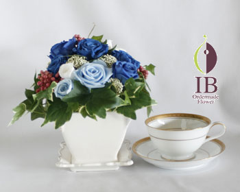 ティーカップとの大きさの比較