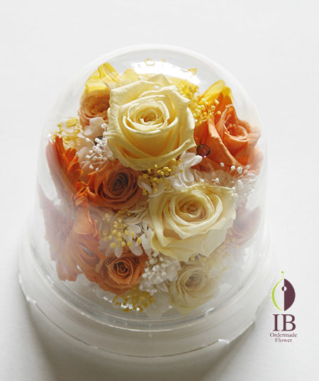 プリザードフラワー ガーベラ オレンジ