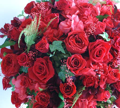 60本赤バラプリザーブド プリザードフラワー