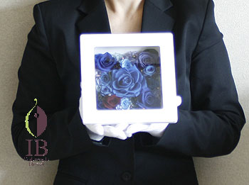 手に持った感じ