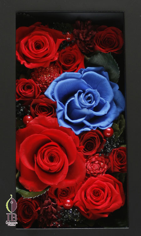 プリザードフラワー プロポーズ用 12輪のバラ