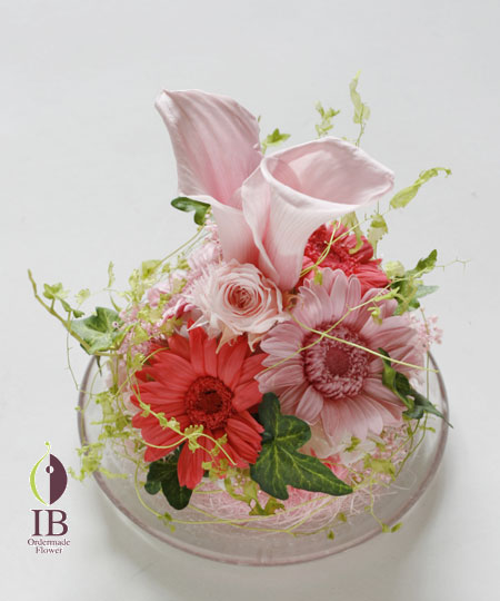 ガーベラピンク