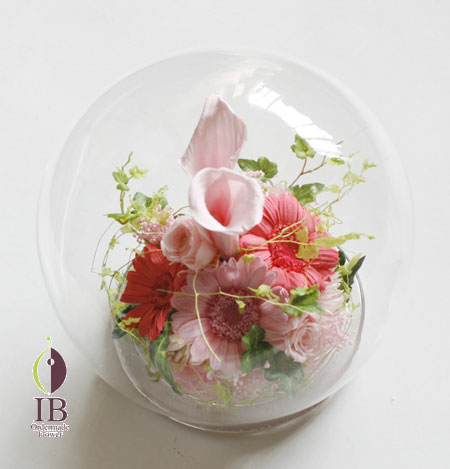 プリザーブドフラワー ガーベラ ピンク