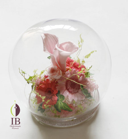 プリザードフラワー ガーベラ プリンセスピンク