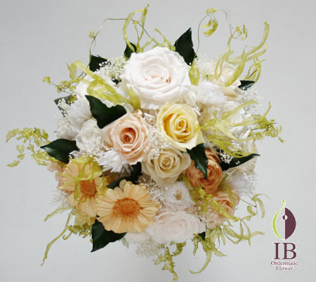 プリザードフラワー バラ ホワイトシャンパン