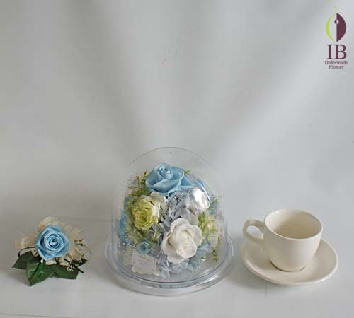 コーヒーカップとの大きさの比較 コーヒーカップとの大きさの比較