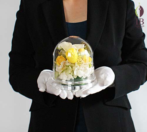 手に持った感じ 手に持った感じ