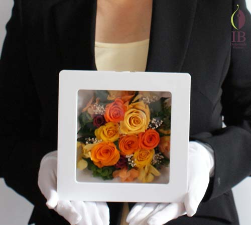 手に持った場合の大きさの比較 手に持った感じ