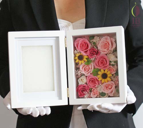 手に持った場合の大きさの比較 手に持った感じ