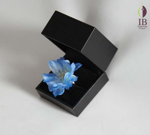 デルフィニウム デルフィニウム