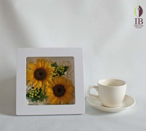 コーヒーカップとの大きさの比較 コーヒーカップとの大きさの比較