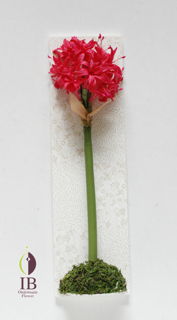 プリザーブドフラワー 曼珠沙華