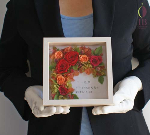 手に持った場合の大きさの比較 手に持った感じ