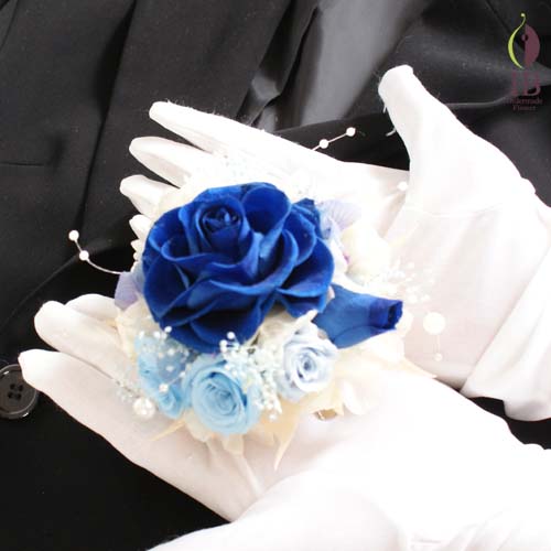 手に持った感じ 手に持った感じ